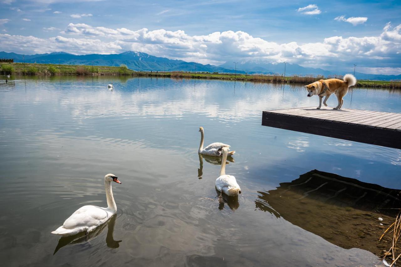 Serenity Resort Codlea Εξωτερικό φωτογραφία